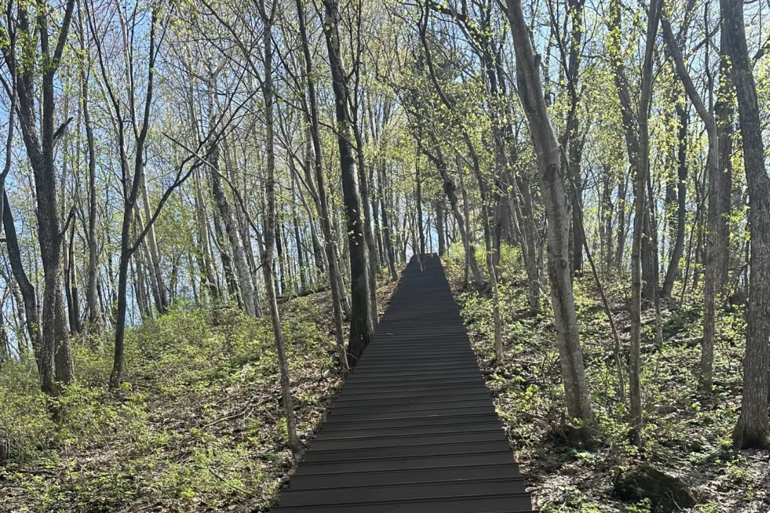Qingshan Forest Park